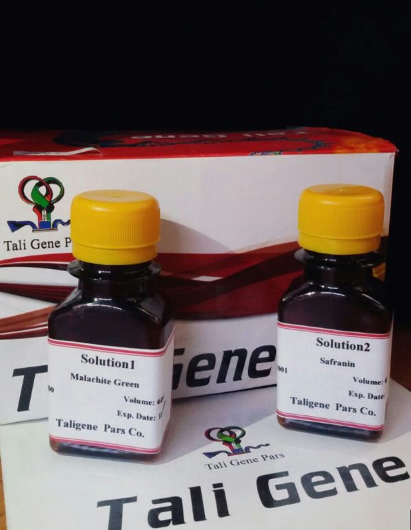 کیت رنگ آمیزی مالاشیت گرین (2 ویال) 1 کیت رنگ آمیزی مالاشیت گرین (2 ویال)