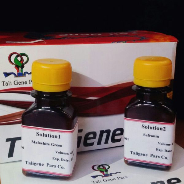 کیت رنگ آمیزی مالاشیت گرین (2 ویال)