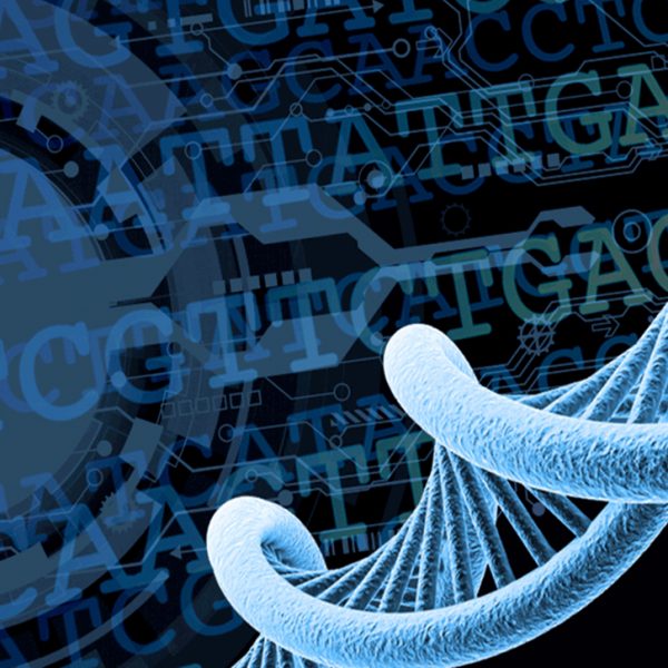 توکسین بایندر | خوراک دام | خوراک طیور |