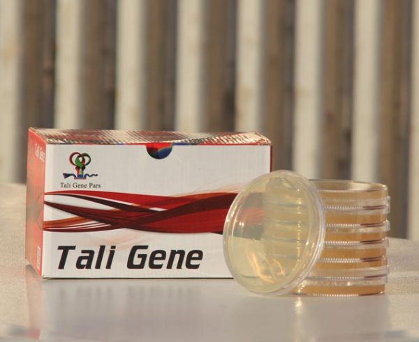 محیط کشت Starch Agar