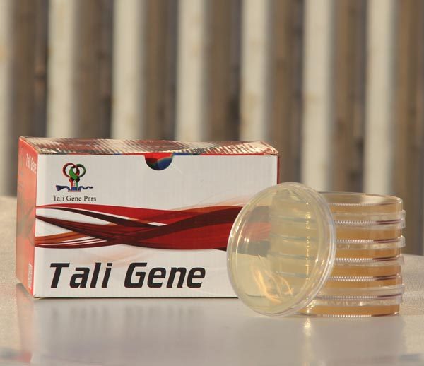 محیط کشت YPG Agar