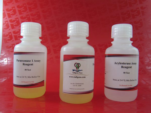 کیت سنجش آریل استراز تالی